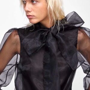 Zara organza is blouse